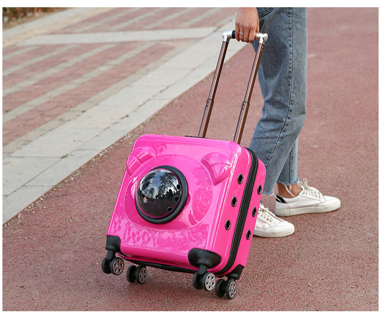 Multifunctional pet airline box for dogs